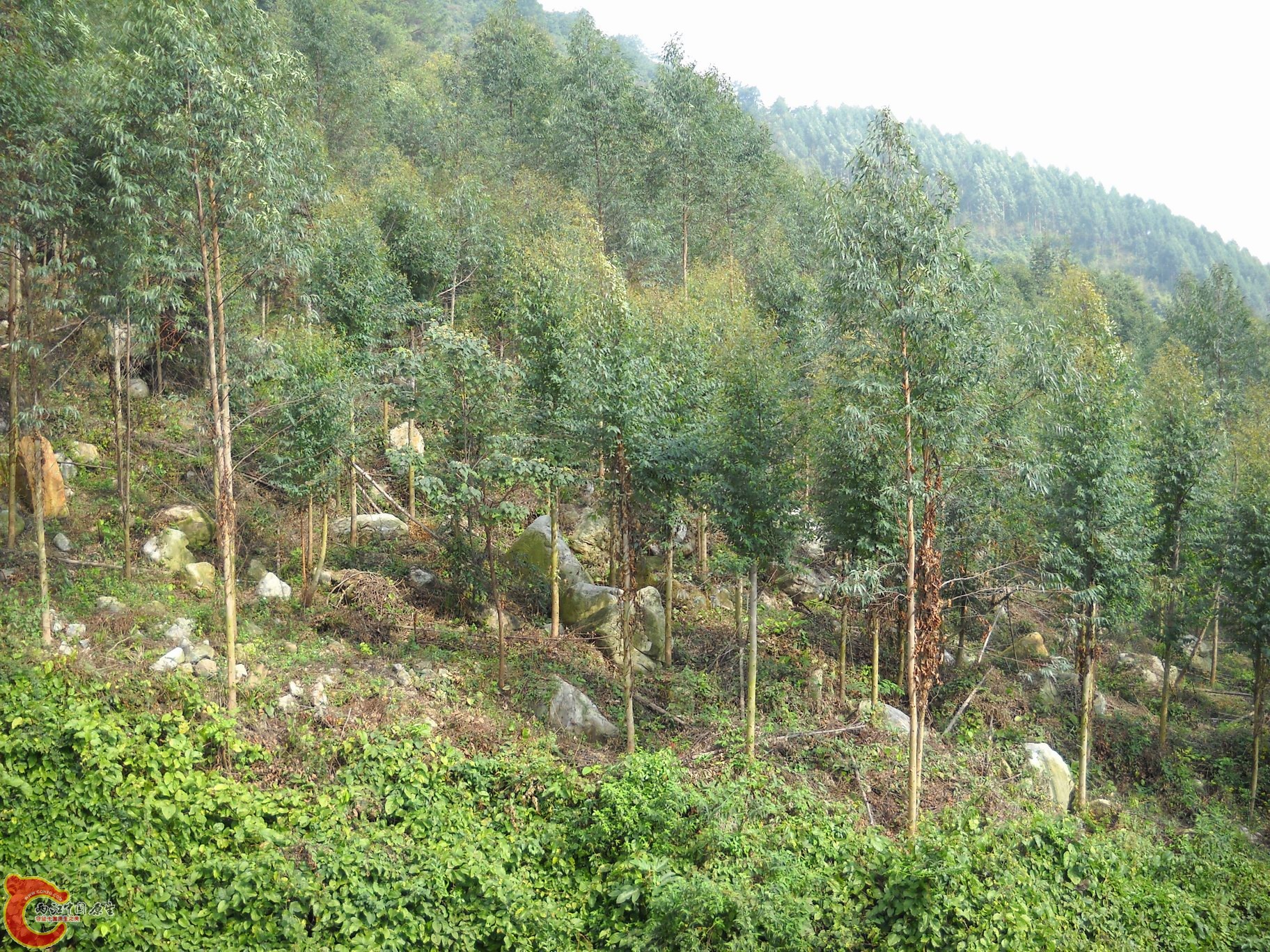 DSCN0213.JPG