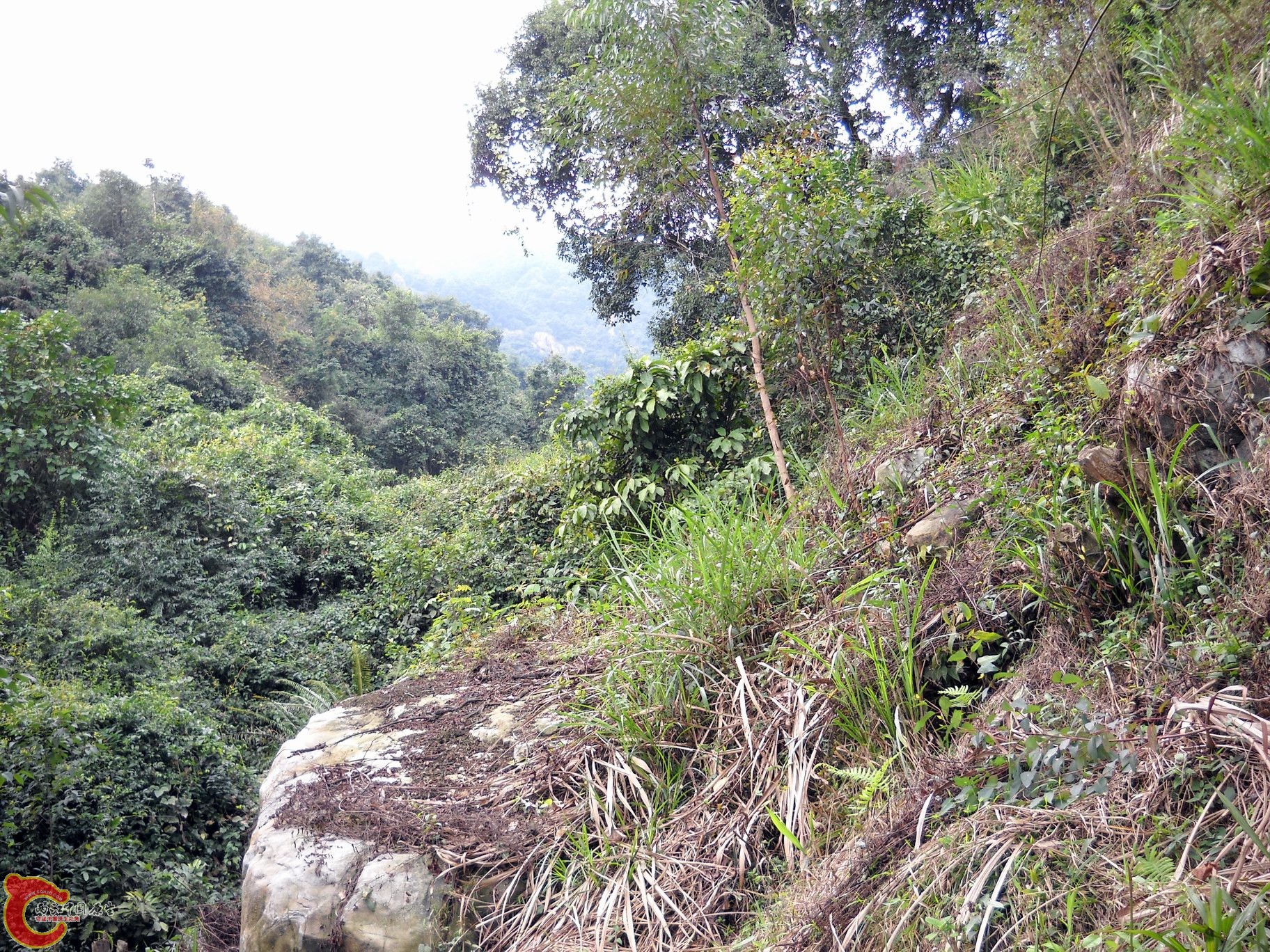 DSCN0002_02.JPG