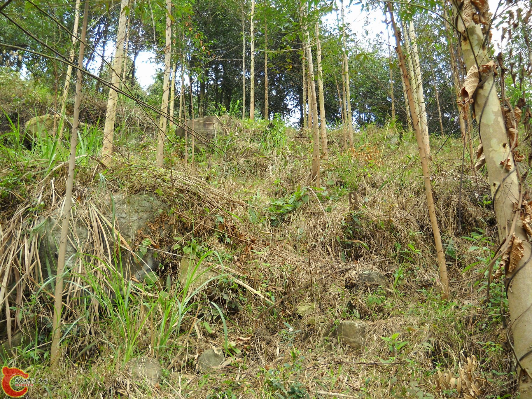 DSCN0237.JPG