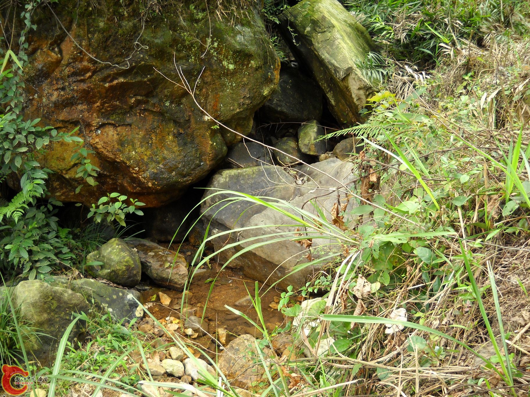 DSCN0238.JPG
