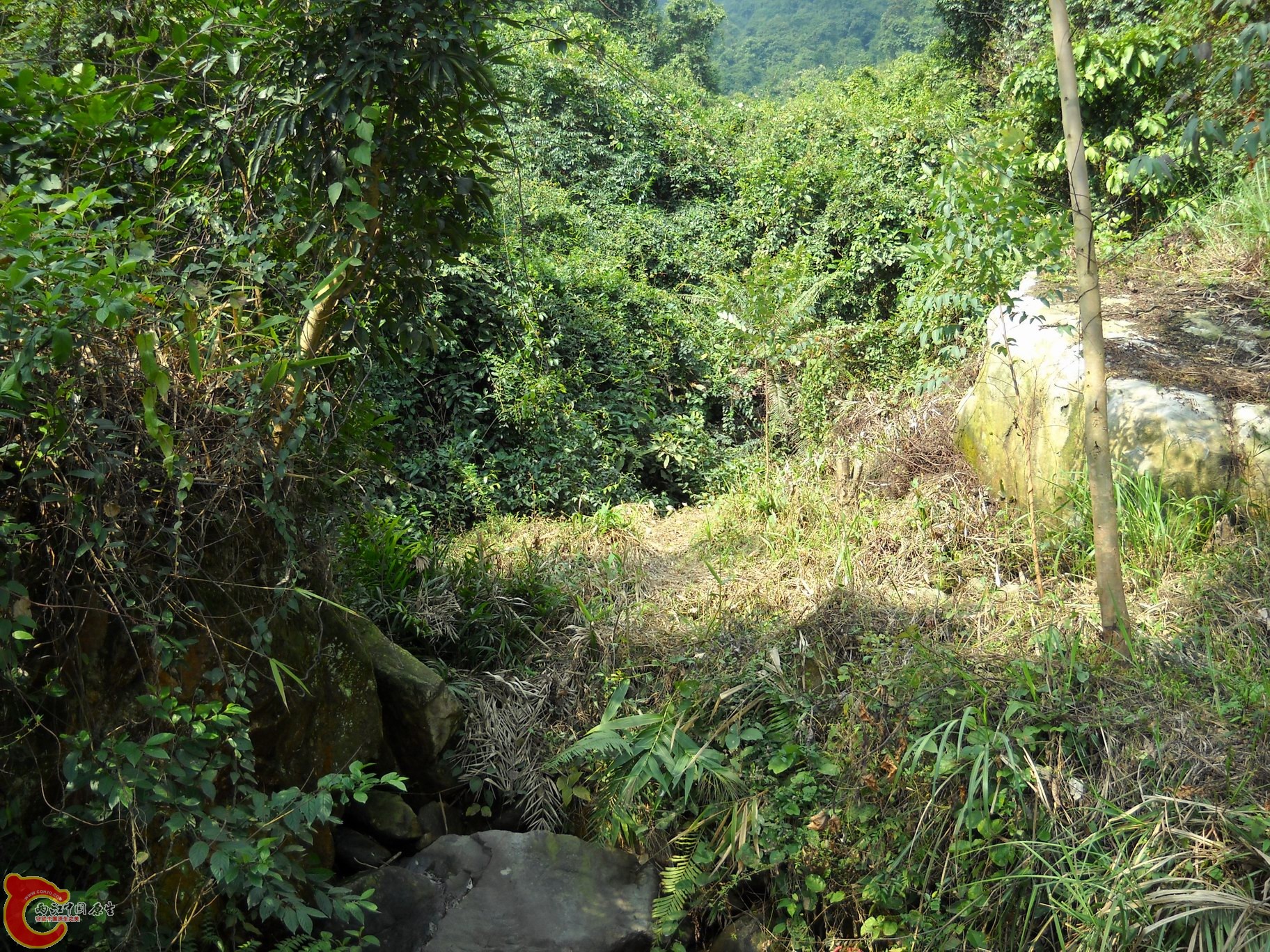 DSCN0218.JPG