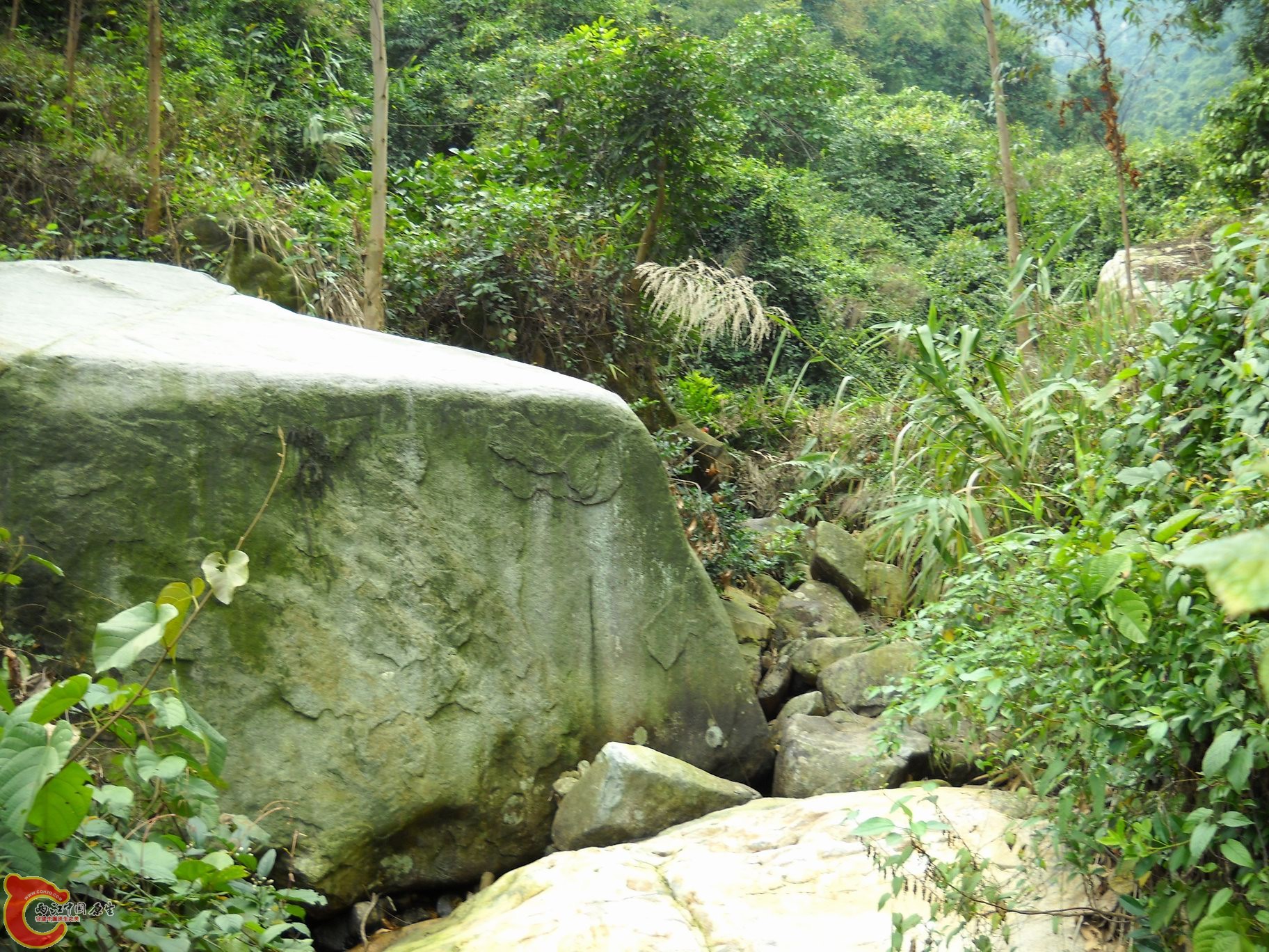 DSCN0242.JPG