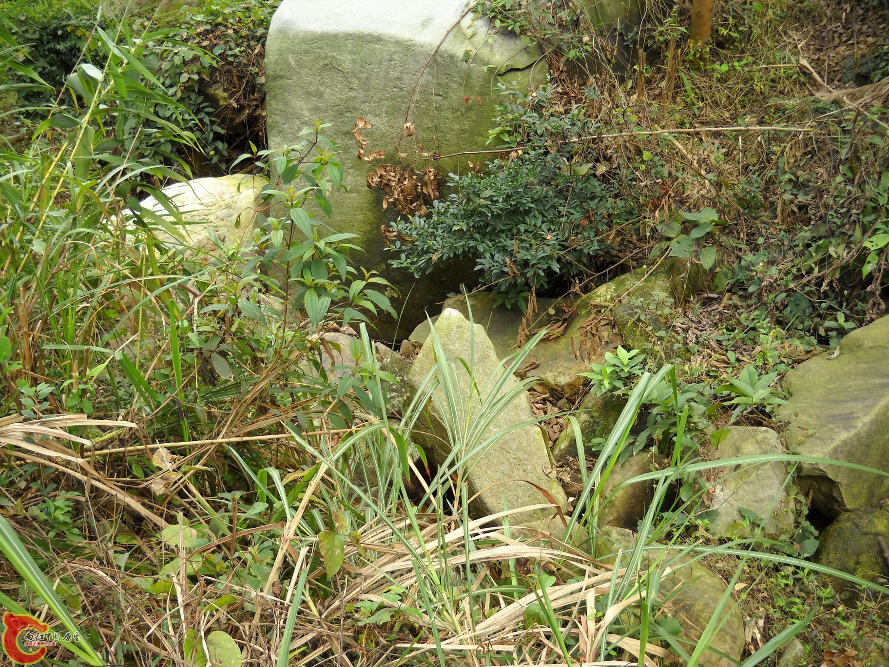 DSCN0239.JPG