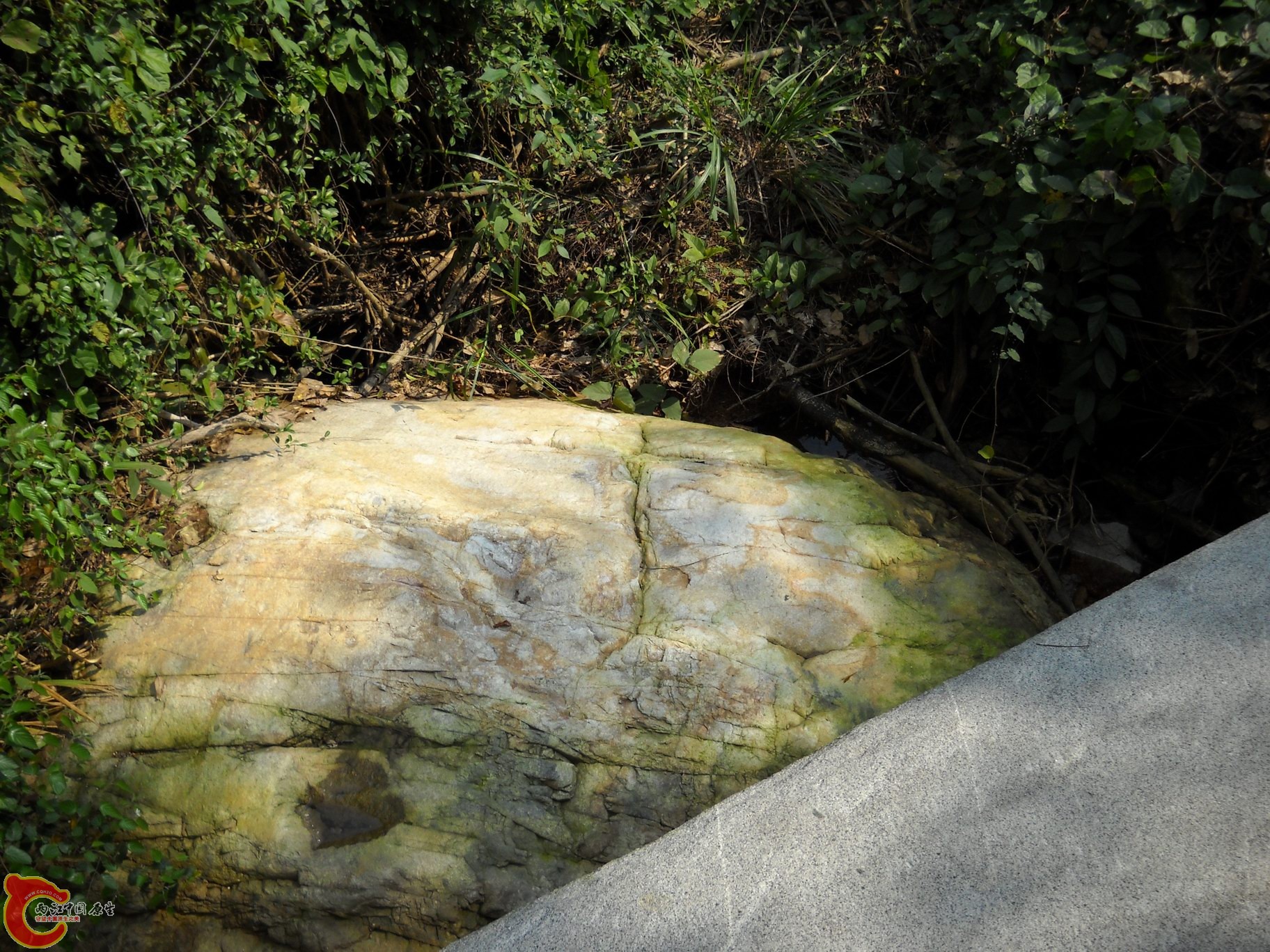 DSCN0216.JPG