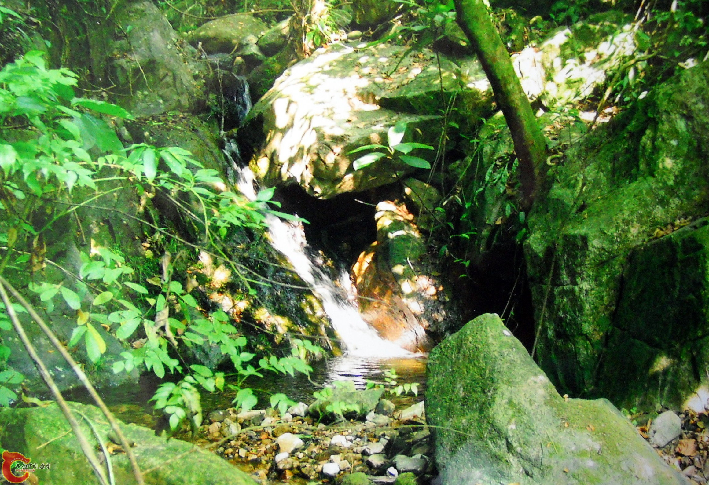DSCN0025.JPG