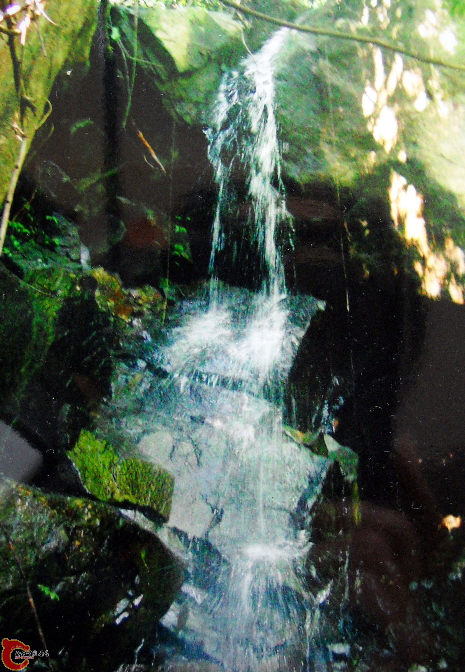 DSCN0027.JPG