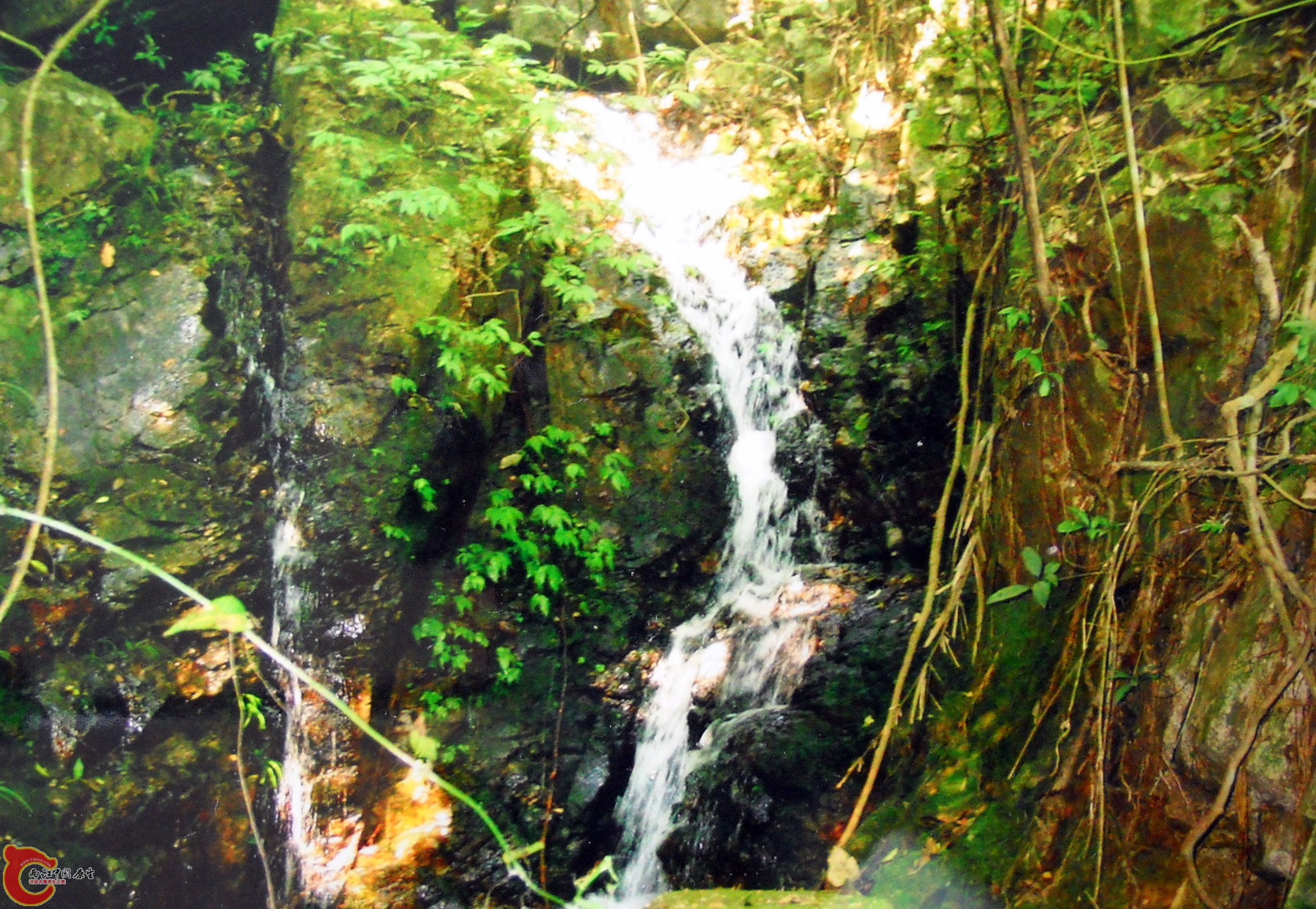 DSCN0028.JPG