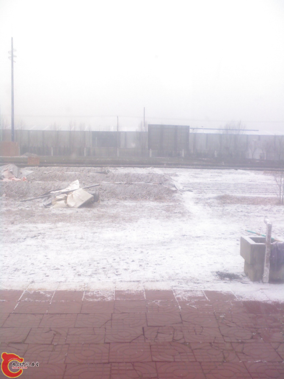 0203_091529.jpg