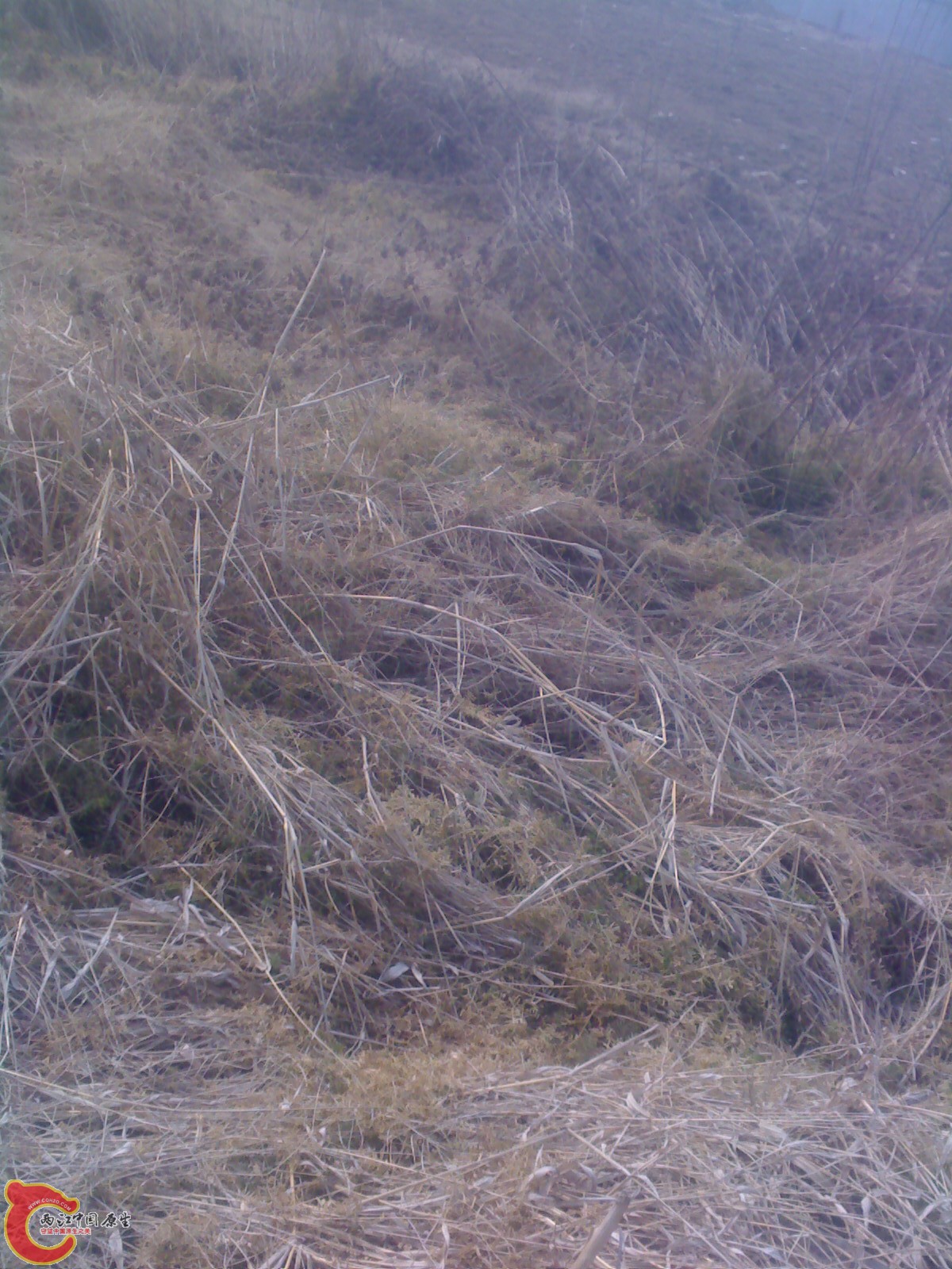 0205_122848.jpg