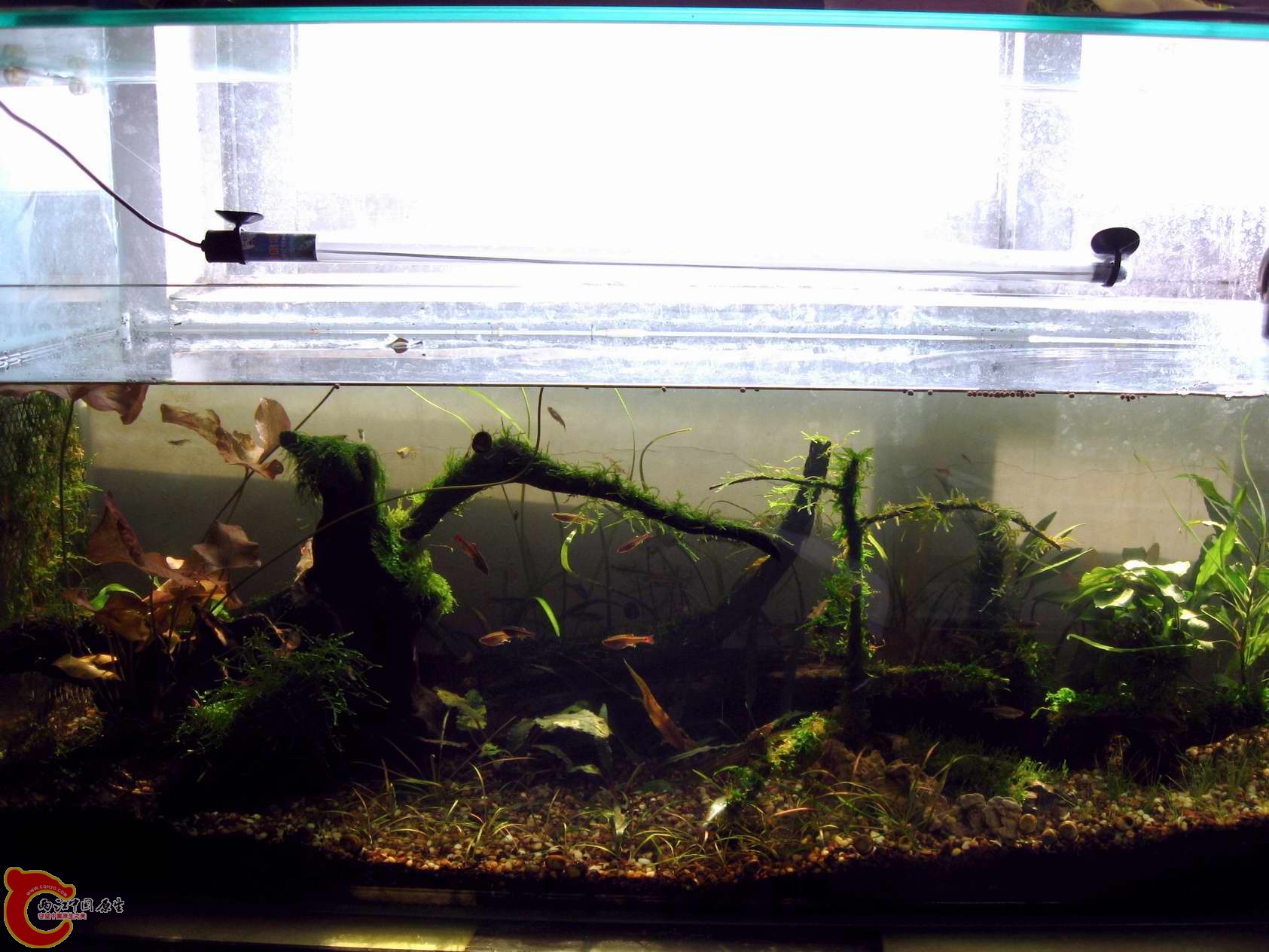 调整大小 照片 428.jpg