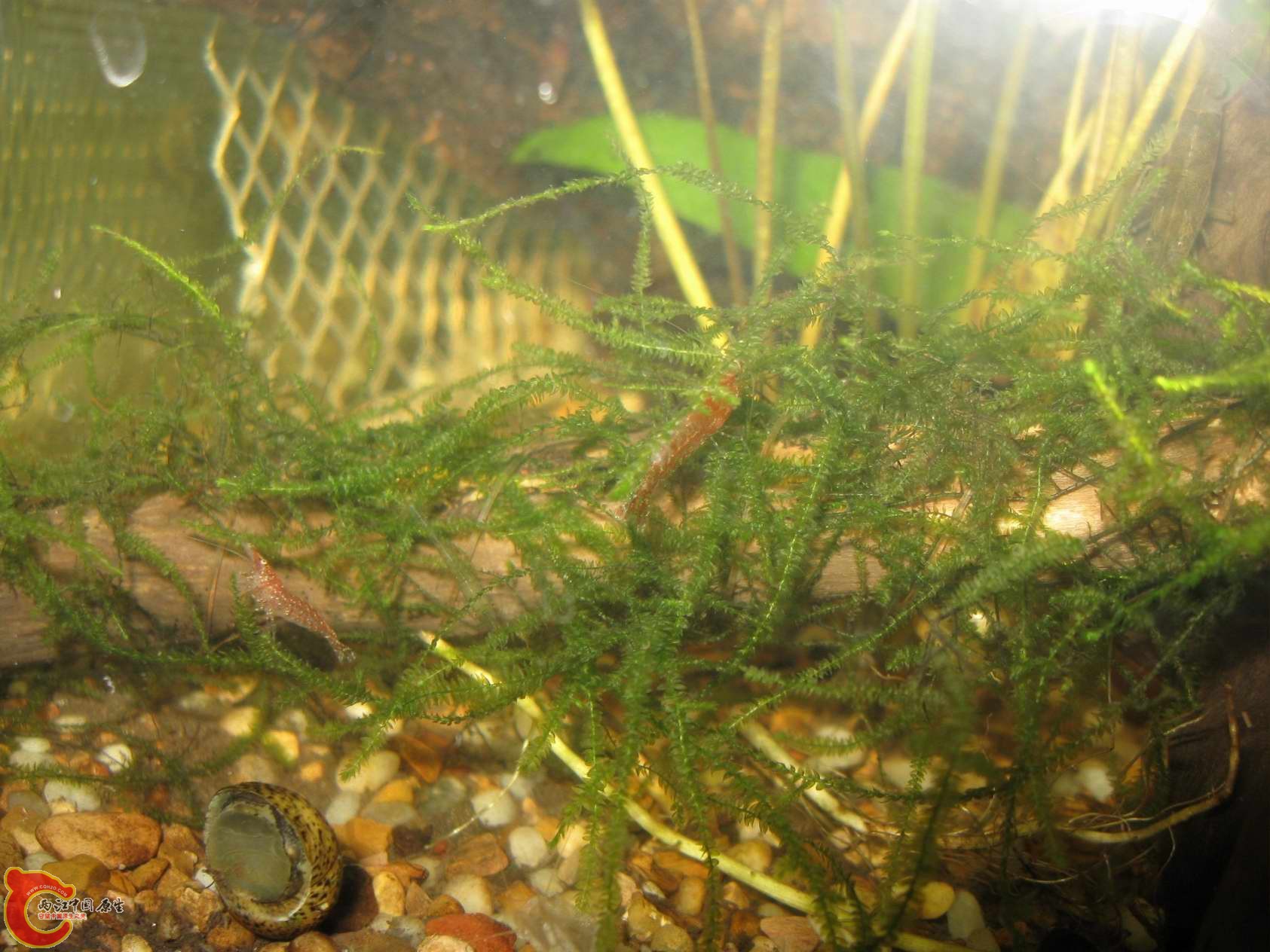 调整大小 照片 048.jpg