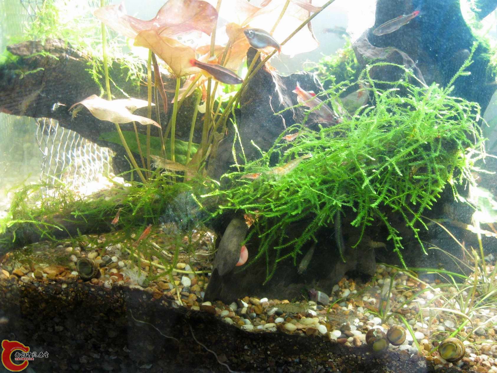 调整大小 照片 019.jpg