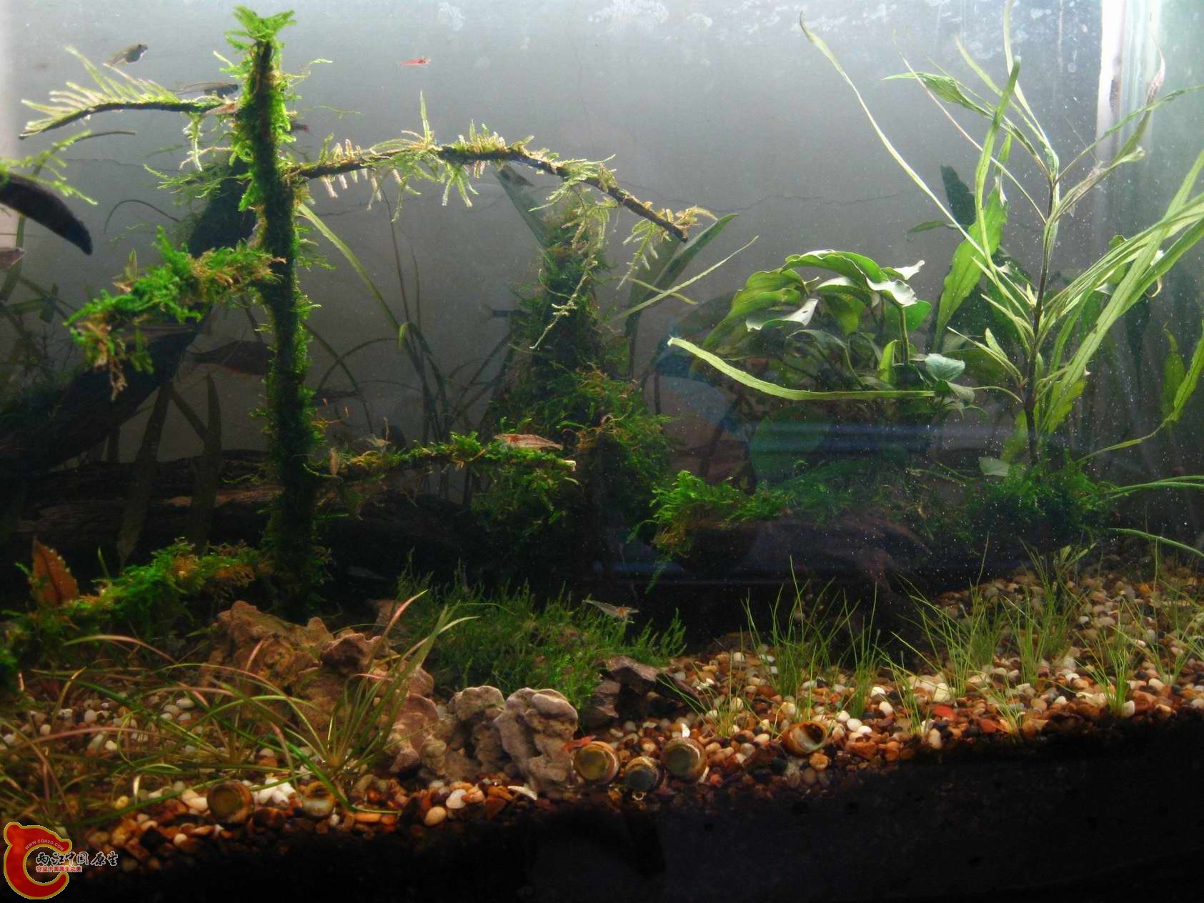 调整大小 照片 037.jpg