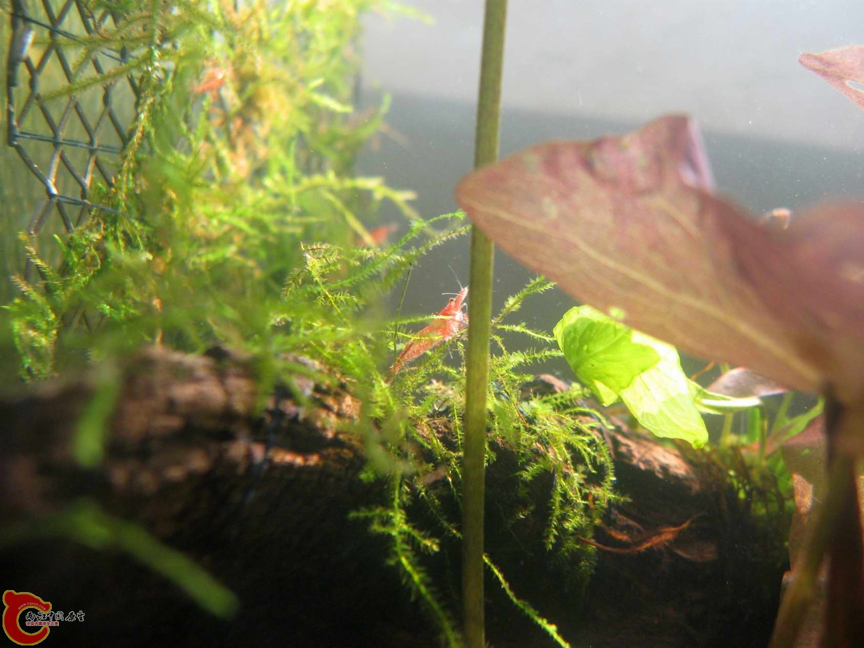 调整大小 照片 049.jpg