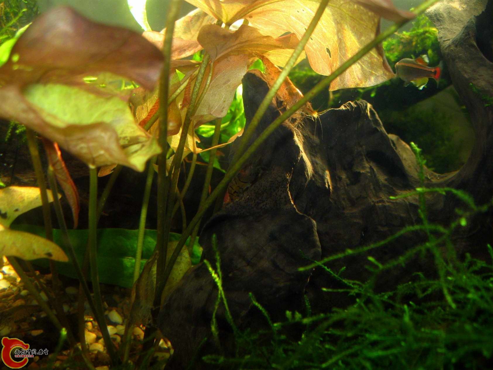 调整大小 照片 075.jpg