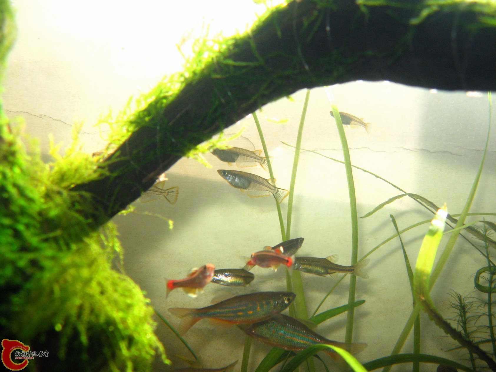 调整大小 照片 057.jpg