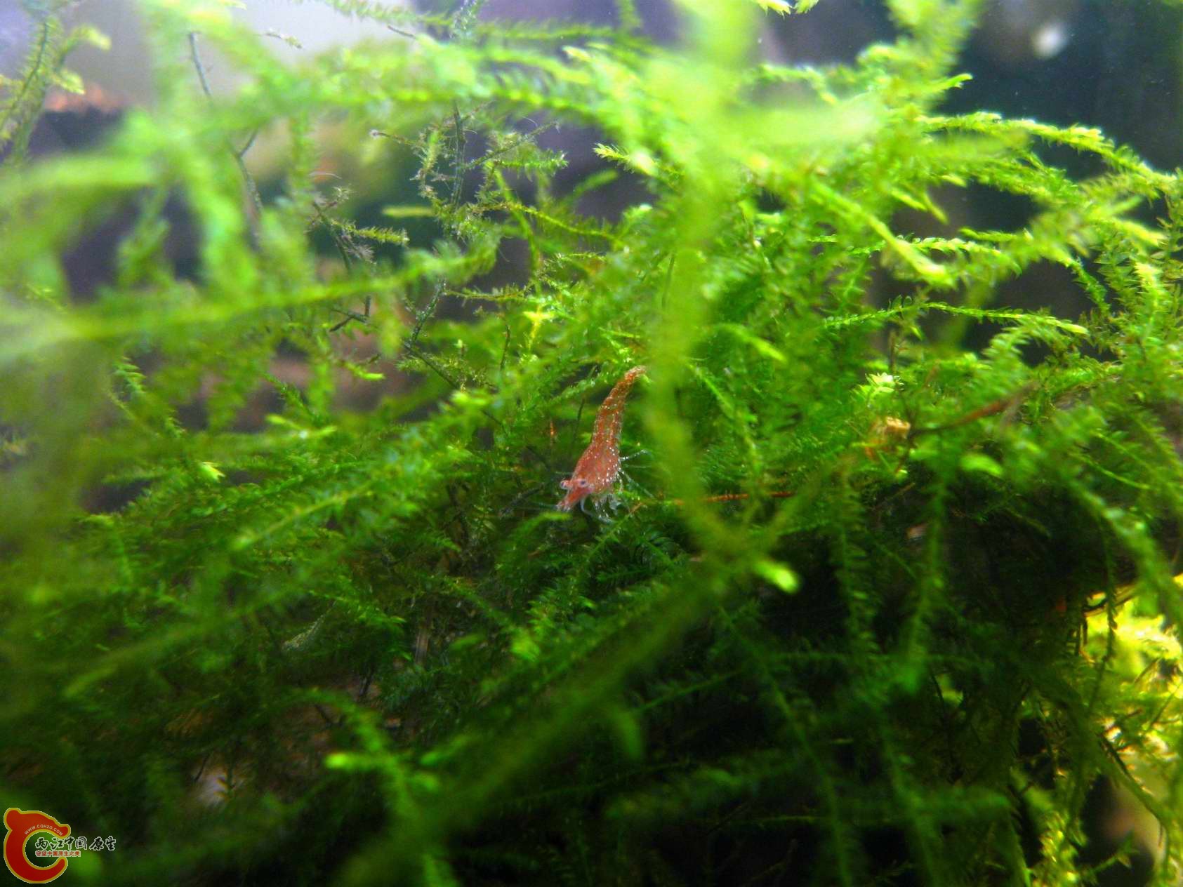 调整大小 照片 067.jpg