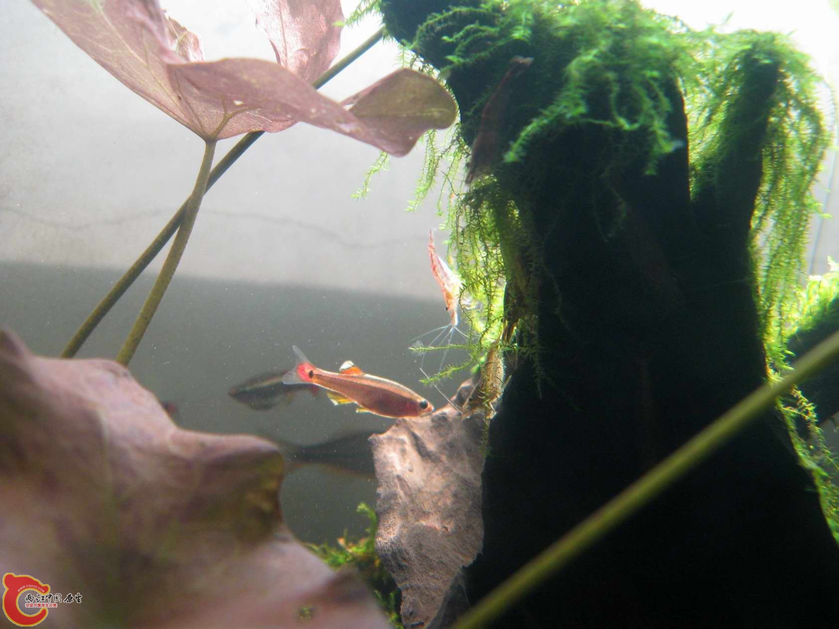 调整大小 照片 051.jpg