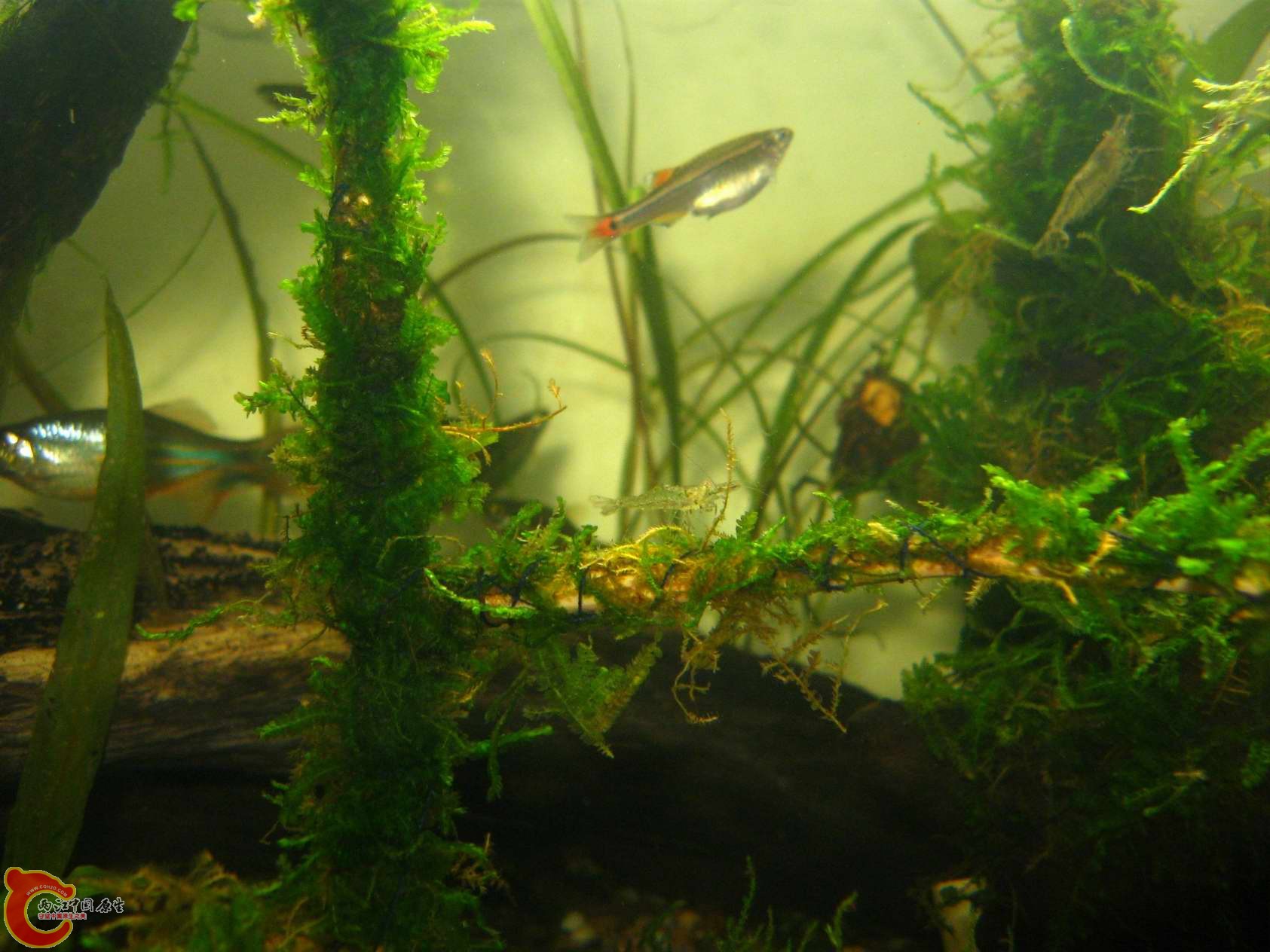 调整大小 照片 071.jpg