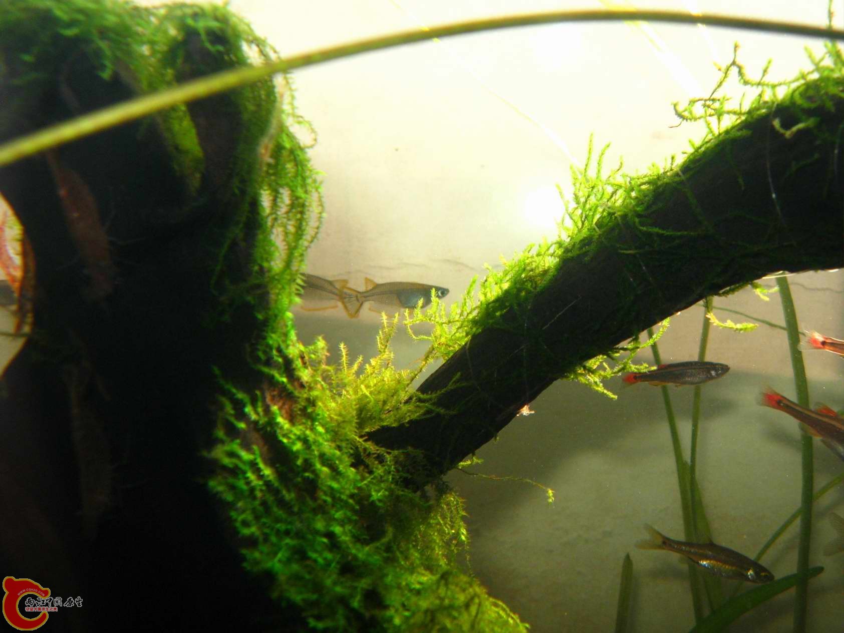 调整大小 照片 081.jpg