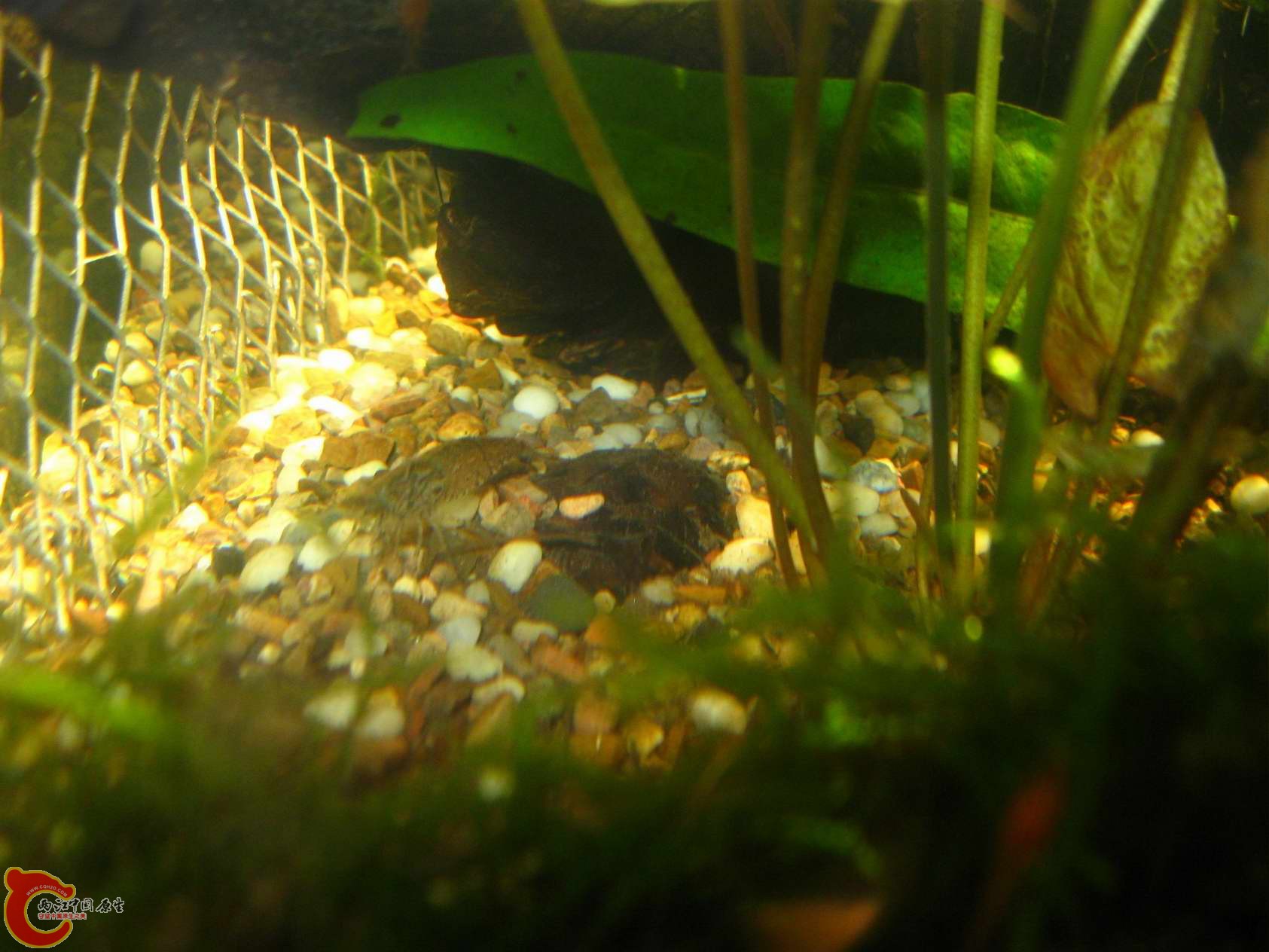 调整大小 照片 076.jpg