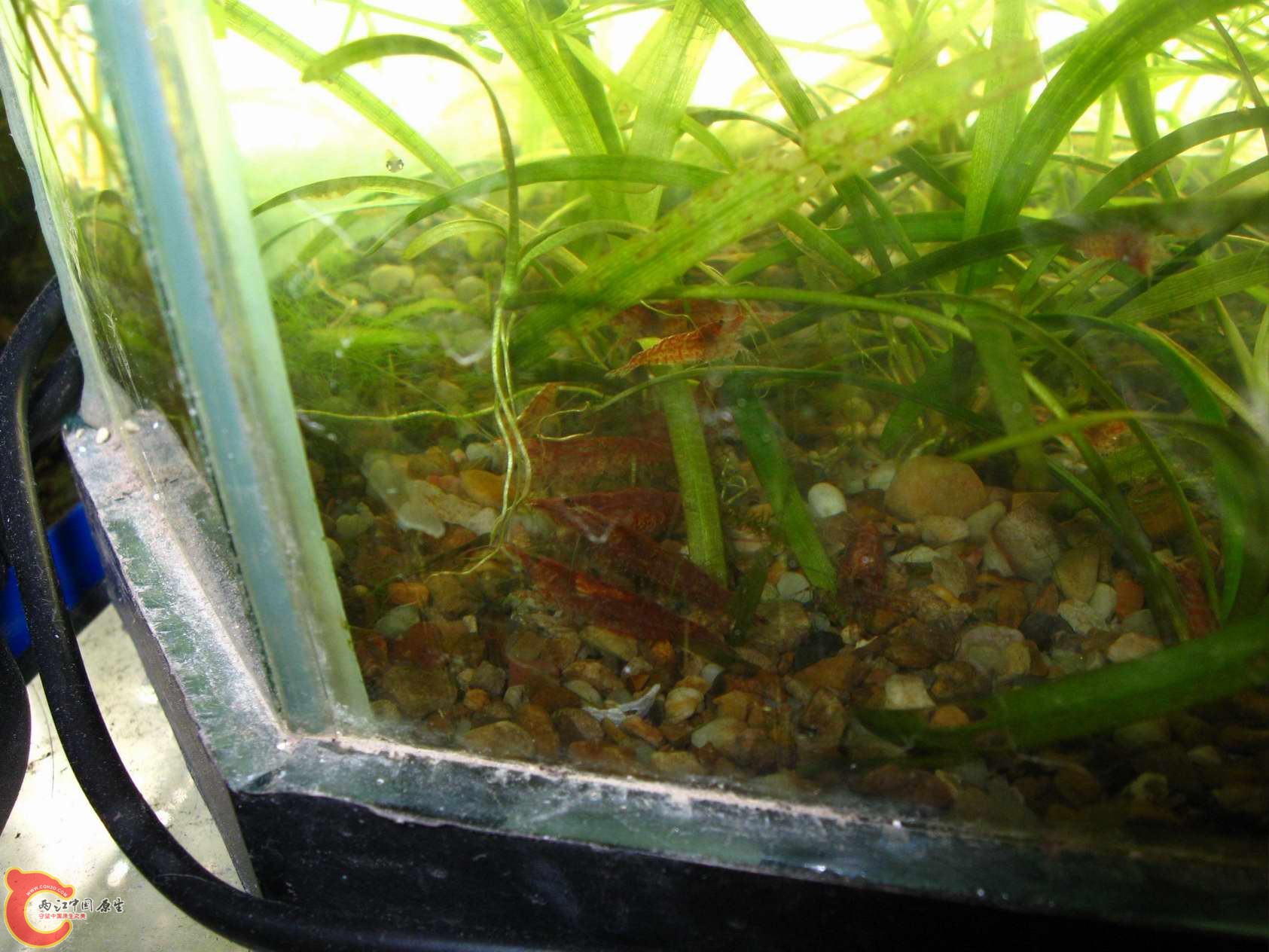 调整大小 照片 102.jpg