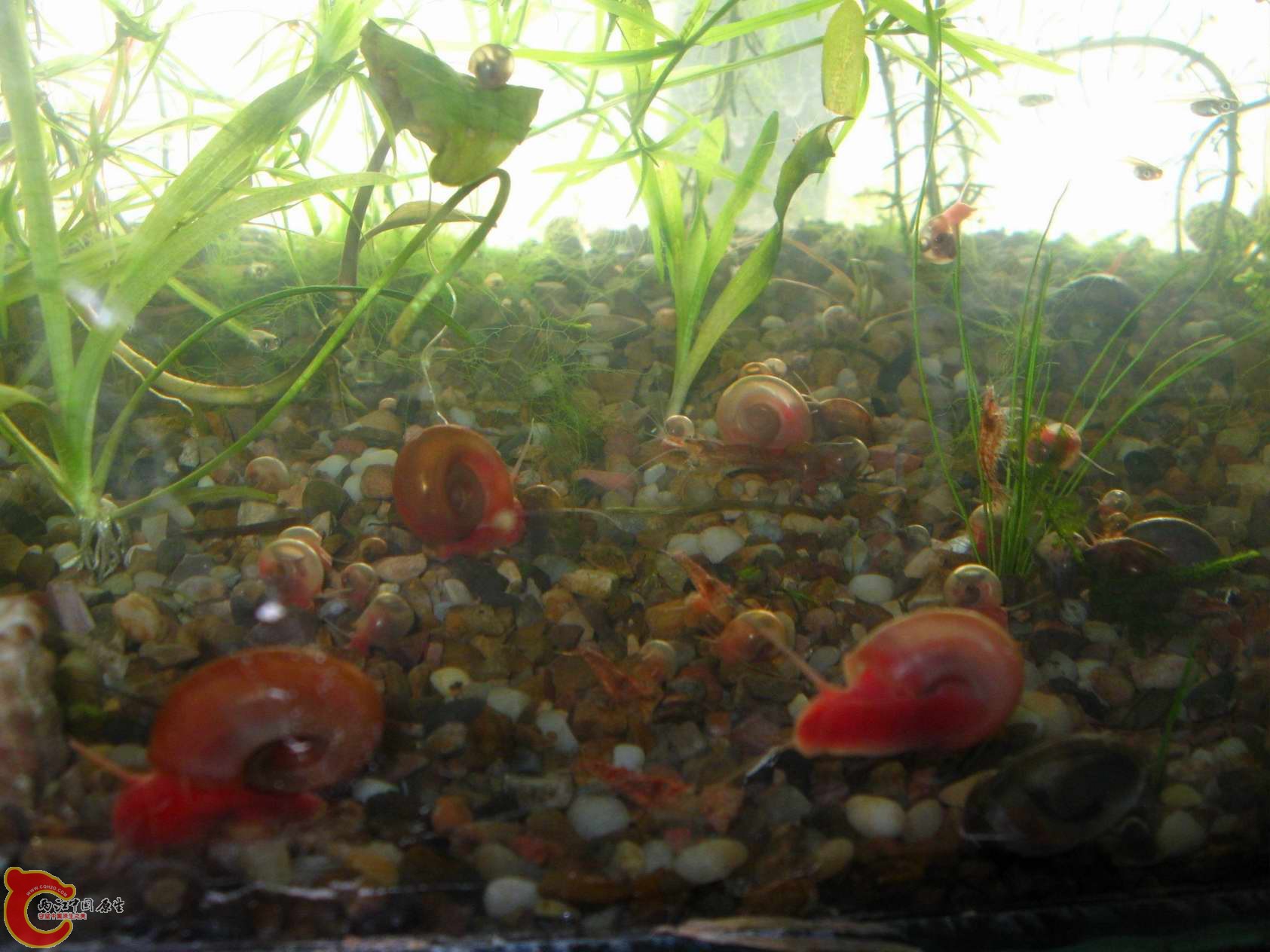 调整大小 照片 107.jpg