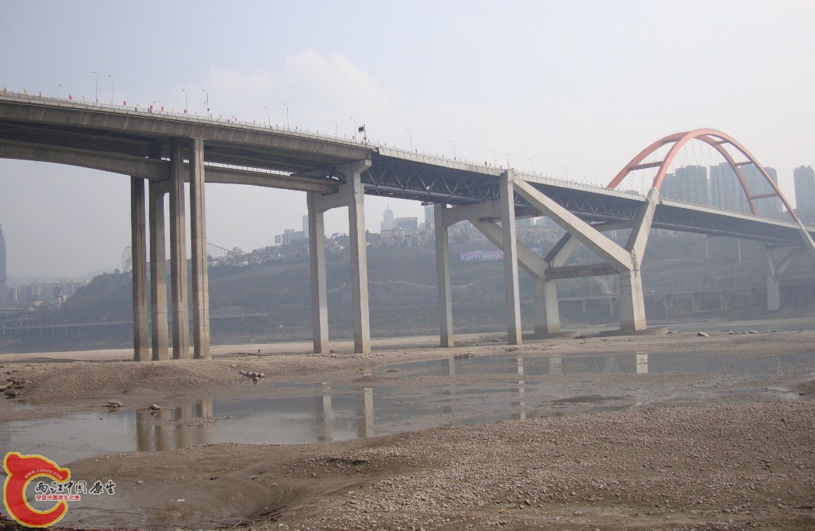 采集地点(重庆人都小得撒)
