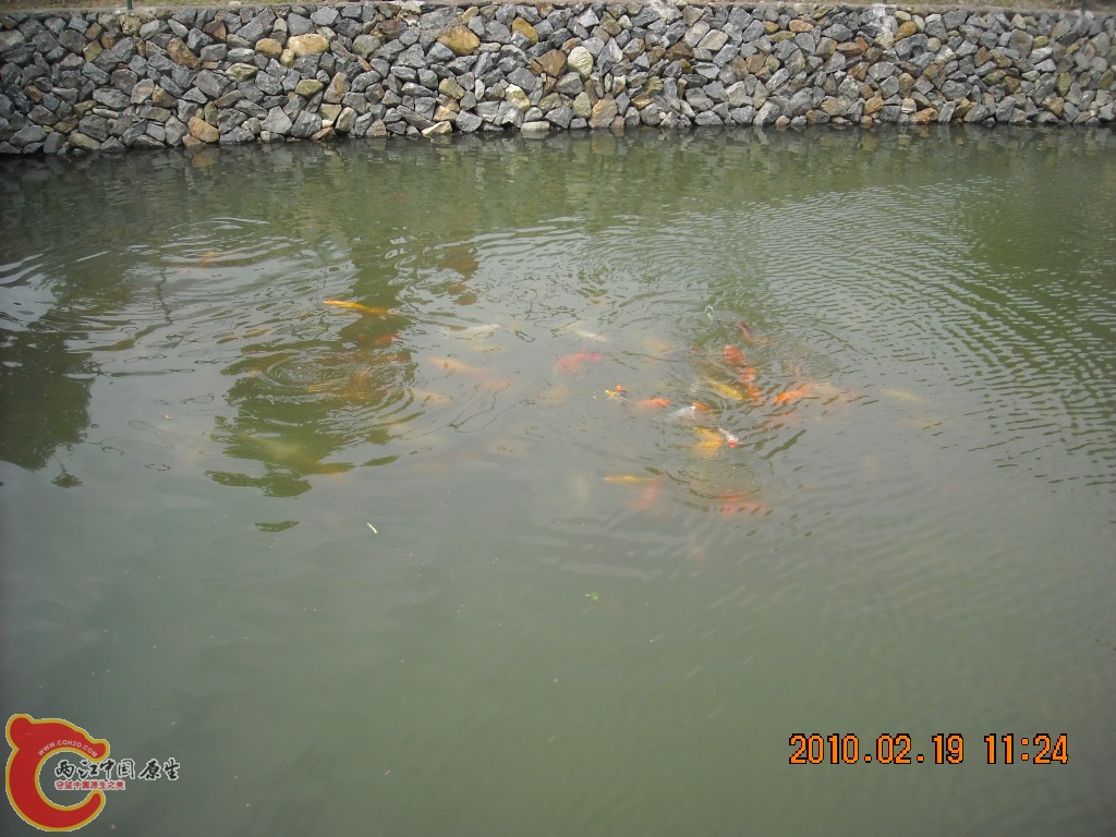 DSCN6282.JPG