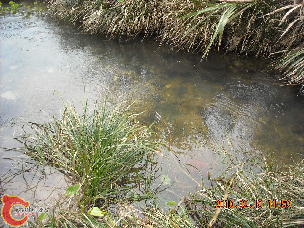 DSCN6287.JPG
