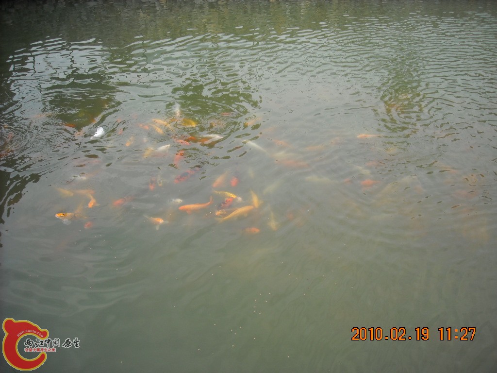 DSCN6284.JPG