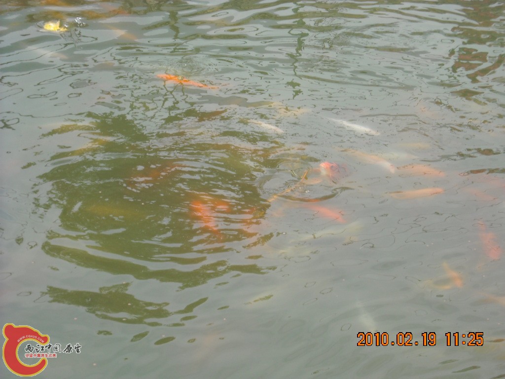 DSCN6283.JPG