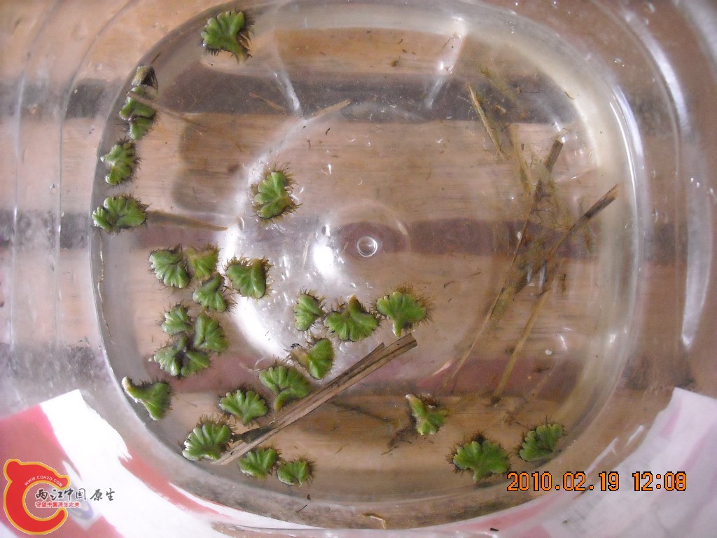 DSCN6289.JPG