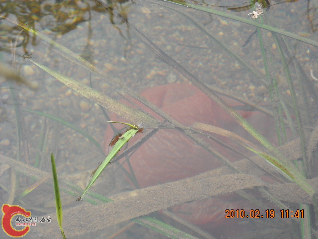 DSCN6285.JPG