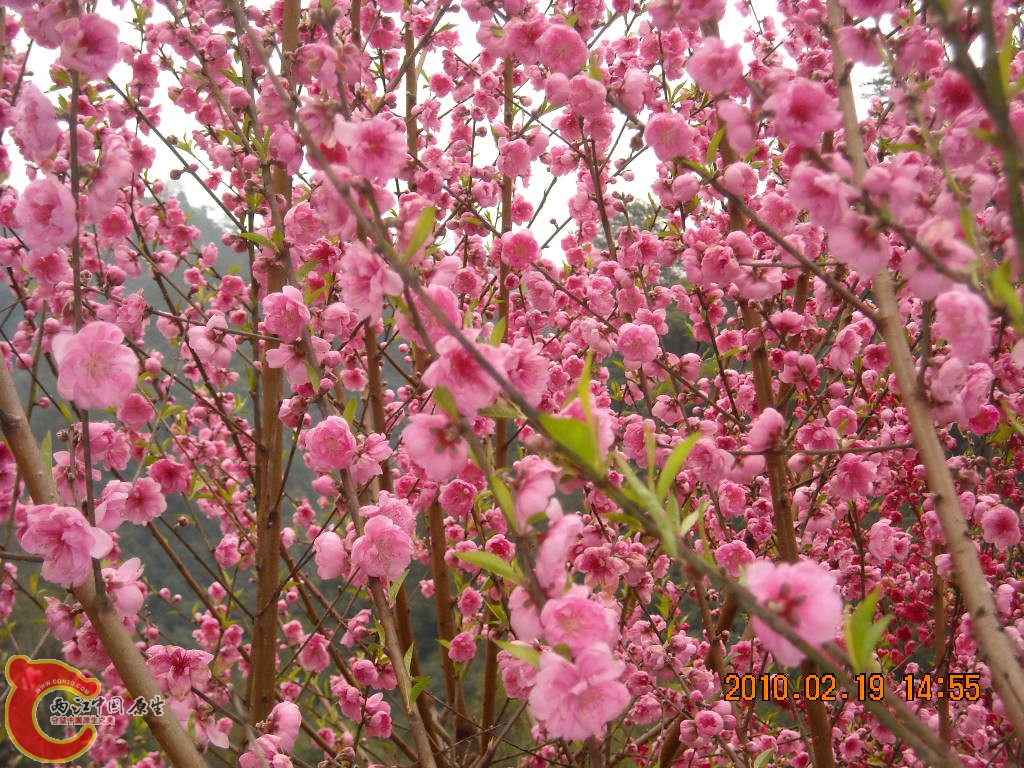 DSCN6310.JPG