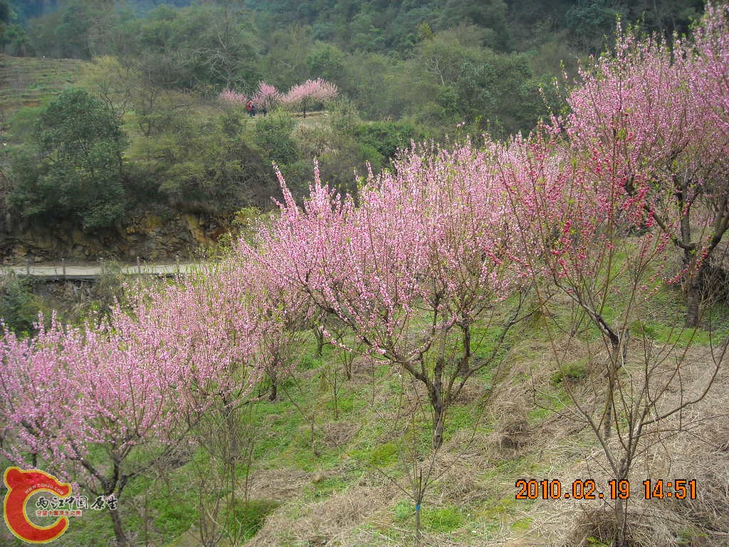 DSCN6305.JPG