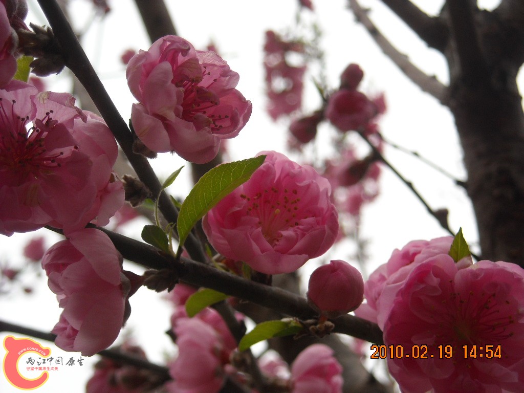 DSCN6309.JPG