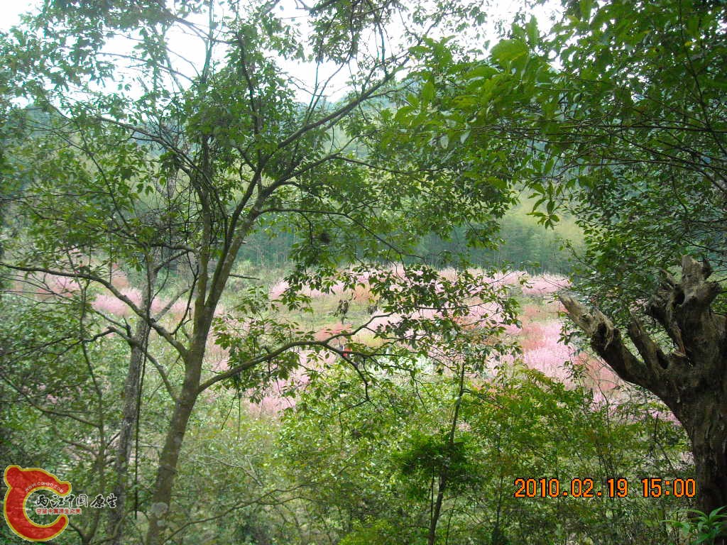 DSCN6314.JPG