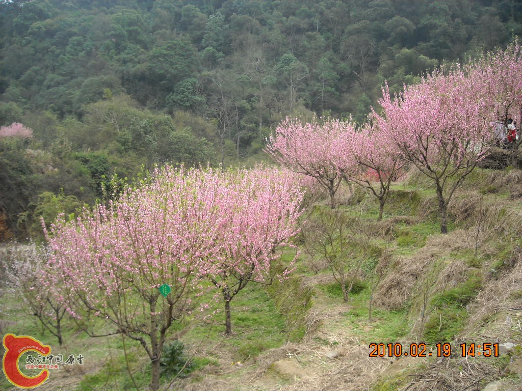 DSCN6304.JPG