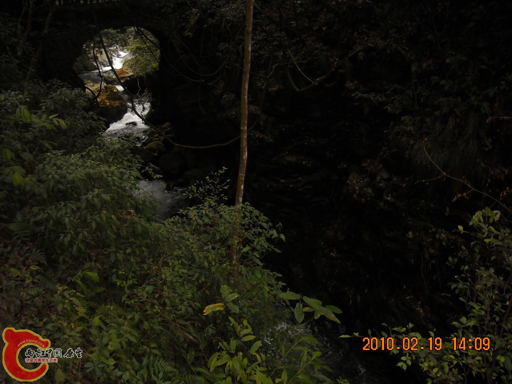 DSCN6303.JPG