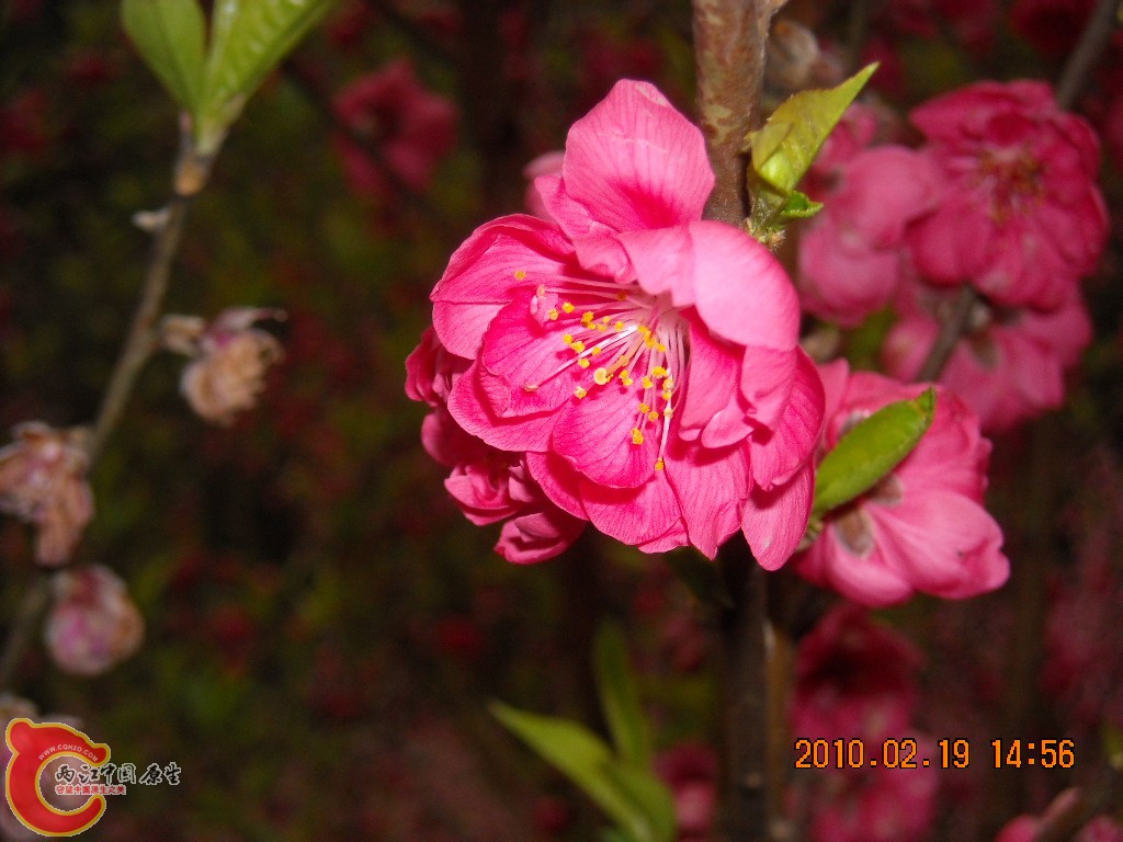 DSCN6313.JPG