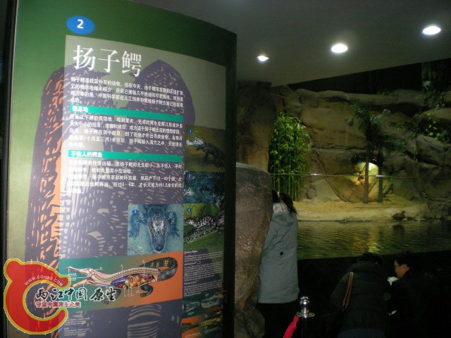 2010-02-20_15-17-30.JPG
