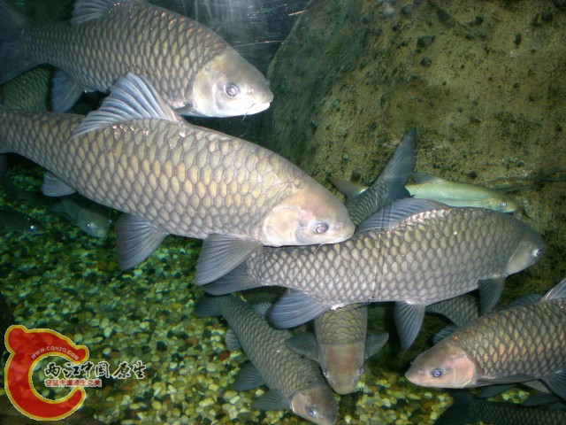 2010-02-20_15-23-23.JPG