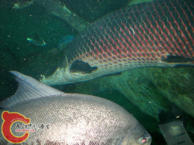 2010-02-20_15-39-41.JPG
