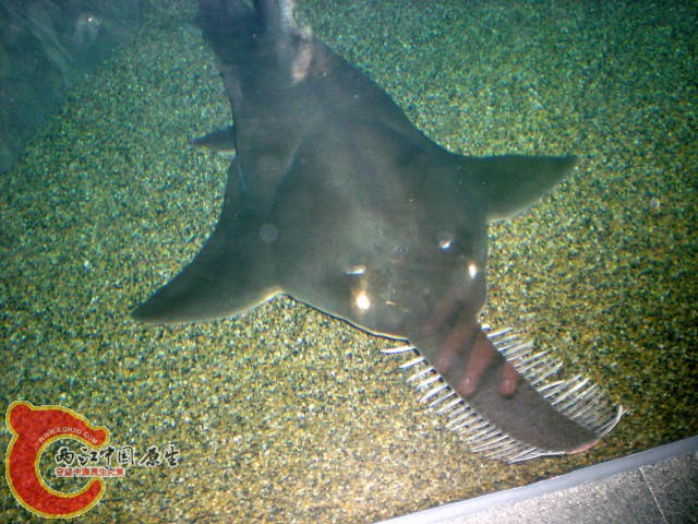 2010-02-20_15-48-43.JPG
