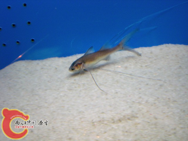 2010-02-20_15-57-10.JPG