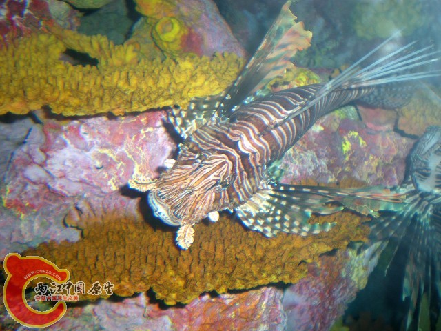 2010-02-20_16-10-27.JPG