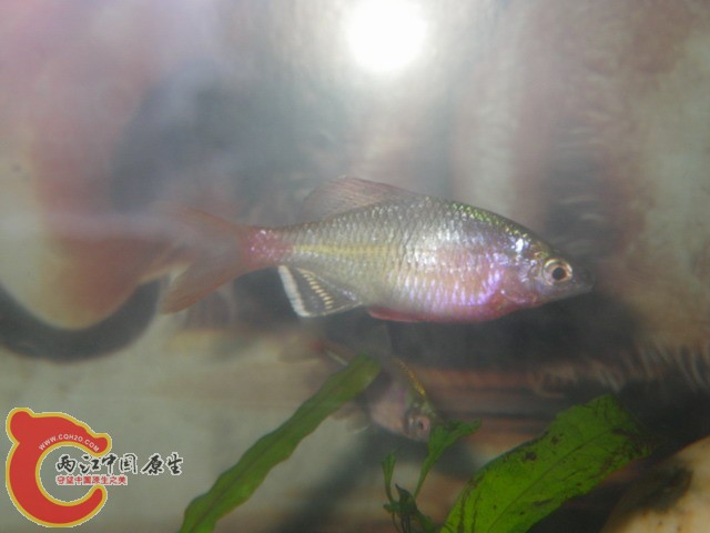 调整大小 IMGP1104.JPG