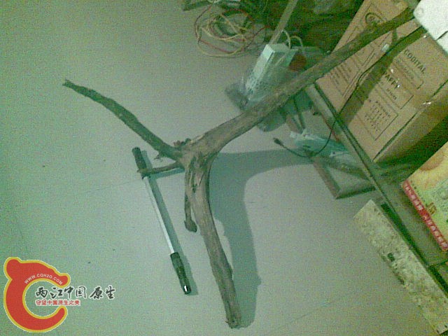 Image(096).jpg