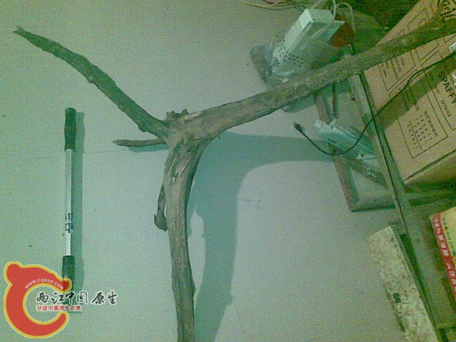 Image(095).jpg